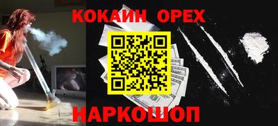 шишки Тверь
