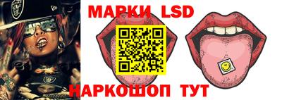 шишки Тверь