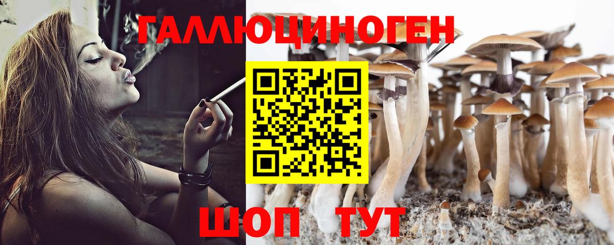 Галлюциногенные грибы MAGIC MUSHROOMS  Галлюциногенные грибы мухоморы  как найти наркотики  Вход с VPN  Мурманск 